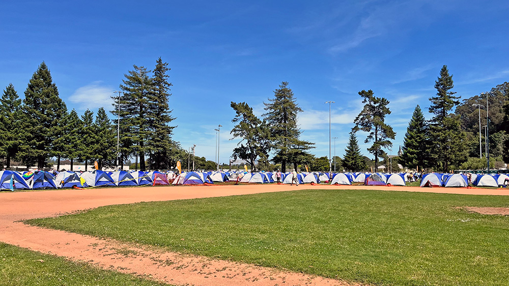Day 1 camp